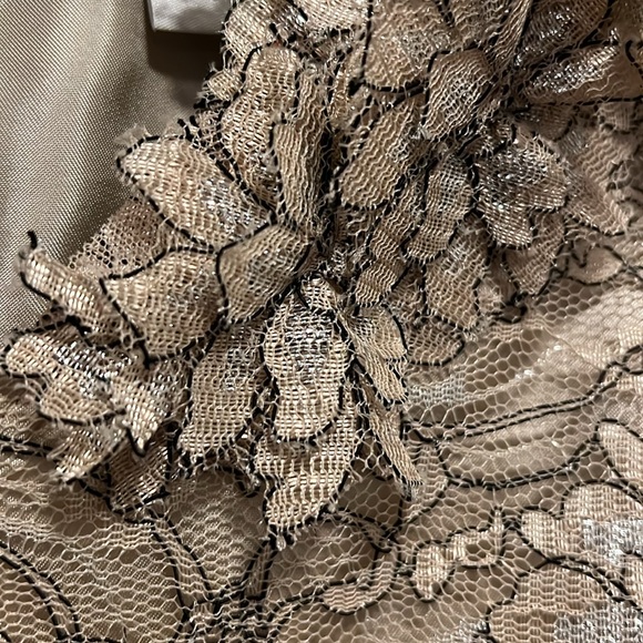 Banana Republic Champagne Metallic Lace Style Dress w Black Waistband Size 10 - Picture 2 of 10